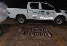 Homens são multados em R$ 10 mil por pescar com tarrafa no Rio São José