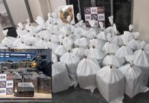 Caminhão com mais de uma tonelada de maconha é apreendido na Rodovia Euclides da Cunha em Cosmorama