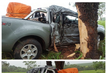 Médico de Jales morre após caminhonete bater em árvore às margens de rodovia de Tanabi