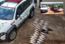 Polícia Ambiental apreende mais de 47kg de pescado ilegal