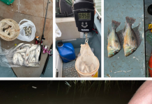 Em Três Fronteiras, pescadores são multados por pesca com métodos não permitidos