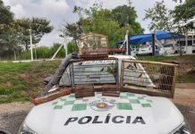Polícia Ambiental multa homem em R$ 4 mil por manter 8 aves silvestres em cativeiro