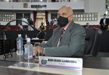 Vereador Meidão pede limpeza e melhorias em canteiros de avenida