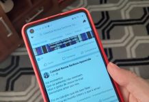 Missas da Catedral são transmitidas pela internet