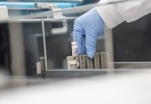 Pesquisadores da USP encontram novo coronavírus na gengiva de pacientes com COVID-19