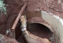 Cavalo cai em galeria pluvial e resgate mobiliza bombeiros de Ilha Solteira