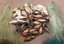 Pescadores fazem arrastão no Rio Grande e acabam multados em mais de R$ 8 mil