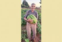 Falece Lázaro Martins da Silveira, aos 76 anos