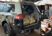 Polícia Civil de Votuporanga incinera 210 kg de drogas