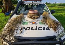 Polícia Ambiental flagra pesca irregular e apreende 13kg de peixes em Cardoso