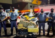 Polícia Rodoviária apreende mais de 300 tijolos de maconha durante operação em Penápolis