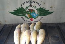 Pescador é multado com pescado irregular em Riolândia
