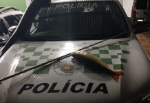 Homem é multado por pesca irregular no Rio Turvo