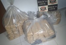 Motorista é preso na BR-153 transportando 86kg de maconha em carro