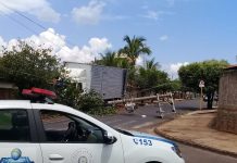 Caminhão perde o freio, derruba postes e bate em árvore em Tabapuã