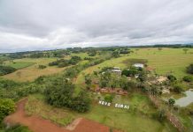 Sobriedade já – Coragem vai, tire a máscara…