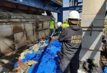 Polícia Federal incinera mais de sete toneladas de drogas Rio Preto