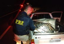 Dupla é presa suspeita de furtar veículo e cabos de cobre em Nova Granada