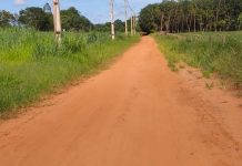 Valdecir Lio reforça pedido de pavimentação em rua do Distrito de Simonsen