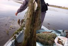 Polícia Ambiental flagra pesca em local proibido e multa homens em R$ 4 mil
