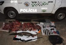Polícia Ambiental localiza jacaré abatido e prende homens por porte ilegal de arma