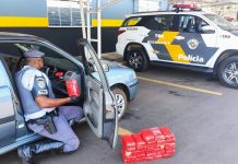 Mecânico é preso com 30 tijolos de pasta base de cocaína em rodovia de Araçatuba