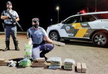 Passageiros de ônibus são presos com drogas escondidas em bagagens