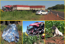 Acidente entre caminhões mata homem em rodovia de Ouroeste