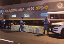 Homem é preso com meia tonelada de maconha em rodovia da região
