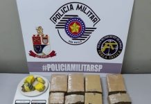 Polícia Militar prende dupla por tráfico de drogas em Votuporanga