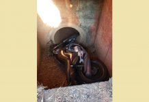 Homem é encontrado morto em galeria de água em rodovia de Guararapes