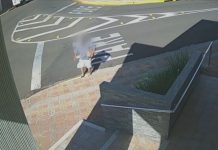 Homem é multado após ser flagrado jogando lixo em bueiro em Fernandópolis