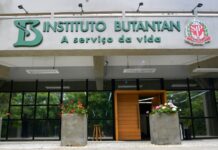 Estudo indica que, com 75% de vacinados, pandemia pode ser controlada