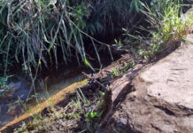 Ciclista encontra corpo de homem com as mãos amarradas em córrego