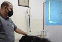 Homem é preso em flagrante após agredir cachorro com uma foice