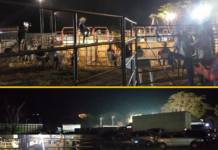 Rodeio clandestino com cerca de 120 pessoas é interrompido em chácara