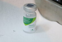 Campanha de vacinação contra a gripe entra na segunda etapa