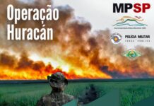 Polícia Ambiental e Ministério Público divulgam resultados da Operação Huracán