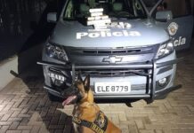 BAEP usa cão farejador para localizar drogas em casa e terrenos