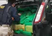 Motorista tenta passar por policiais com carro lotado de tijolos de maconha em Rio Preto