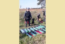 Polícia encontra tijolos de maconha em bagagem de passageiro de ônibus em rodovia de Penápolis