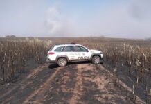 Polícia Ambiental deflagra operação de prevenção a incêndios florestais