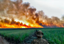 Operação faz fiscalizações contra queimadas em propriedades rurais