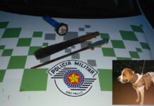 Polícia Ambiental multa trio por caça com utilização de cães