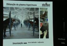 Anvisa autoriza testes do soro anti-Covid desenvolvido pelo Butantan