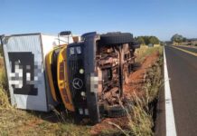 Caminhão tomba em rodovia ao desviar de vaca na pista