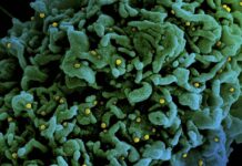 Estudo mostra que variante P1 do coronavírus escapa de anticorpos e tem potencial para causar reinfecção