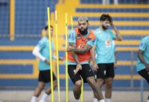 Copa América: seleção chega ao Rio de Janeiro para jogo contra Peru