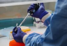 Testes para diagnóstico de Covid-19 não atestam proteção vacinal