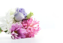 Cultura On-line deste final de semana celebrará o Dia dos Namorados